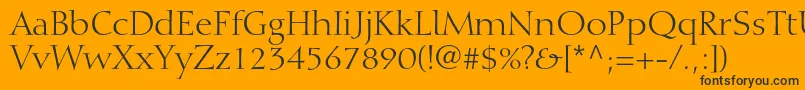 DiotimaltstdRoman Font – Black Fonts on Orange Background