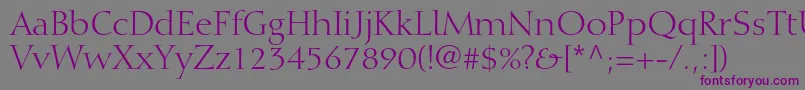 フォントDiotimaltstdRoman – 紫色のフォント、灰色の背景