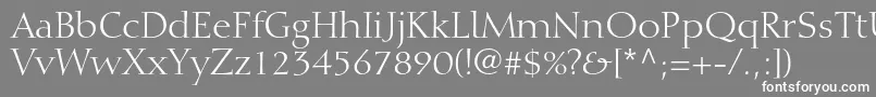 DiotimaltstdRoman-fontti – valkoiset fontit harmaalla taustalla