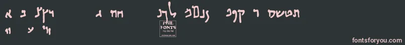 Habbakuk Font – Pink Fonts on Black Background