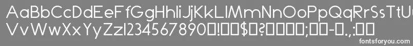 フォントDominik – 灰色の背景に白い文字