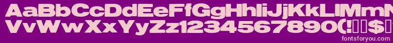 Reservoirgrunge Font – Pink Fonts on Purple Background