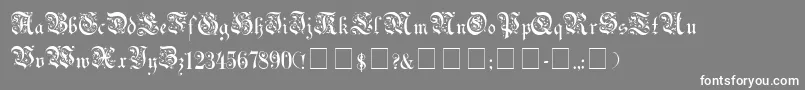 UechiGothic Font – White Fonts on Gray Background