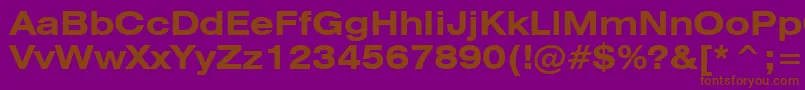 Swiss721BoldExtendedBt Font – Brown Fonts on Purple Background