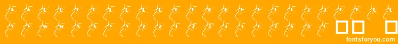 フォント101ShootingStarz – オレンジの背景に白い文字