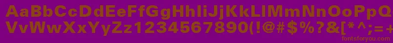 NovaBlackSsiExtraBold Font – Brown Fonts on Purple Background