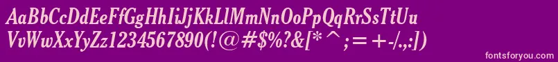 CheltenhamBoldCondensedItalicBt Font – Pink Fonts on Purple Background