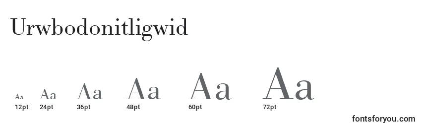 Размеры шрифта Urwbodonitligwid