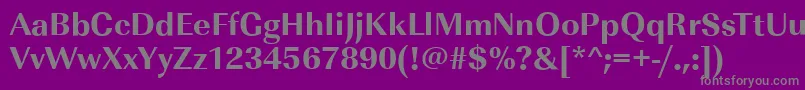 ImperialstdXboldRegular Font – Gray Fonts on Purple Background