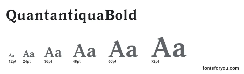 Размеры шрифта QuantantiquaBold