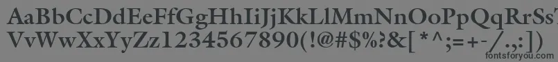 フォントAcanthusSsiBold – 黒い文字の灰色の背景