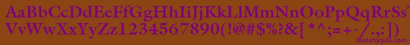 Czcionka AcanthusSsiBold – fioletowe czcionki na brązowym tle