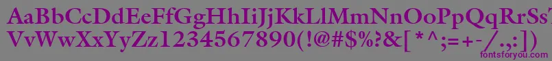 AcanthusSsiBold Font – Purple Fonts on Gray Background