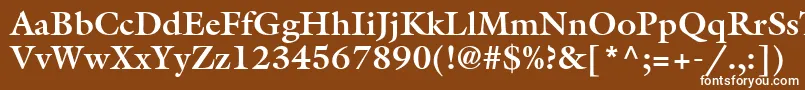 フォントAcanthusSsiBold – 茶色の背景に白い文字