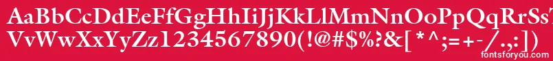 Czcionka AcanthusSsiBold – białe czcionki na czerwonym tle