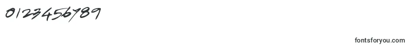 JayadhiraLilaEe01 Font – Fonts for Numbers and Digits