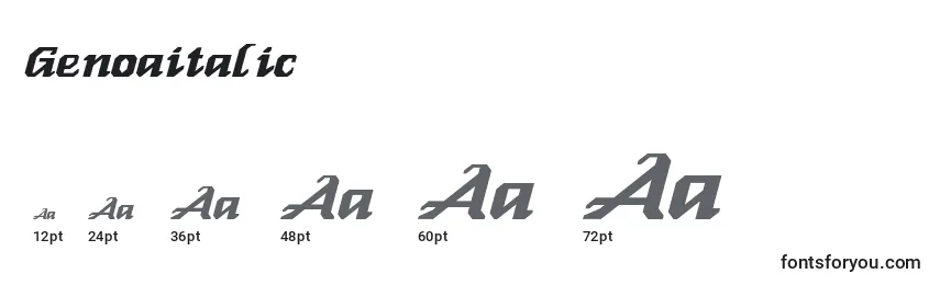 Размеры шрифта Genoaitalic