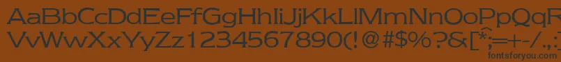 NebraskaRegular Font – Black Fonts on Brown Background