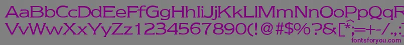 NebraskaRegular-Schriftart – Violette Schriften auf grauem Hintergrund