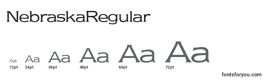 Размеры шрифта NebraskaRegular