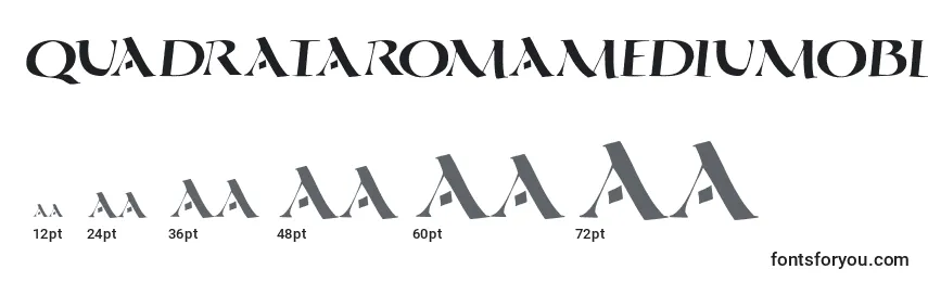 Размеры шрифта QuadrataromaMediumoblique