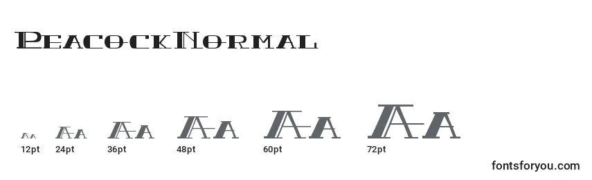 Размеры шрифта PeacockNormal