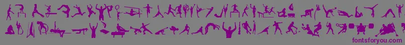 SportsTfb Font – Purple Fonts on Gray Background