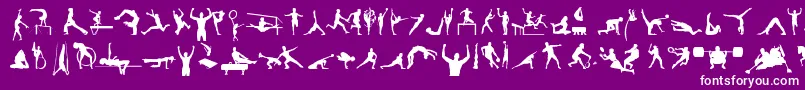 SportsTfb Font – White Fonts on Purple Background