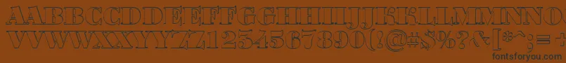 ABodoniortotitulshBlack Font – Black Fonts on Brown Background