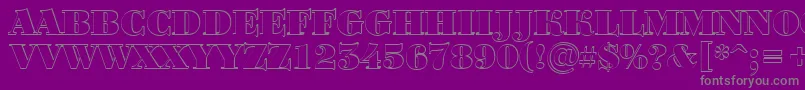 ABodoniortotitulshBlack Font – Gray Fonts on Purple Background