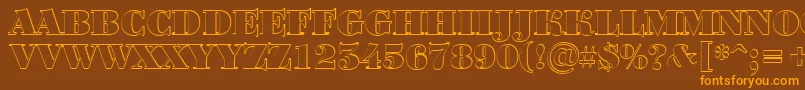ABodoniortotitulshBlack Font – Orange Fonts on Brown Background