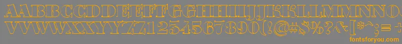 ABodoniortotitulshBlack Font – Orange Fonts on Gray Background