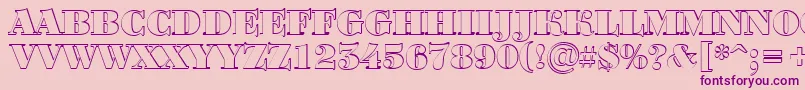 ABodoniortotitulshBlack Font – Purple Fonts on Pink Background