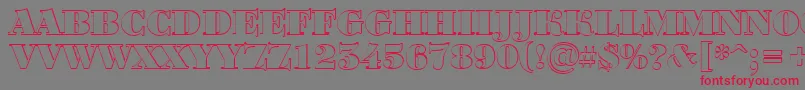 ABodoniortotitulshBlack Font – Red Fonts on Gray Background