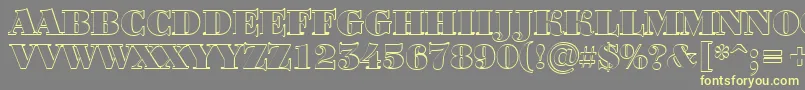 ABodoniortotitulshBlack Font – Yellow Fonts on Gray Background