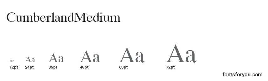 Размеры шрифта CumberlandMedium
