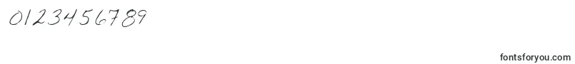 LoublueRegular Font – Fonts for Numbers and Digits