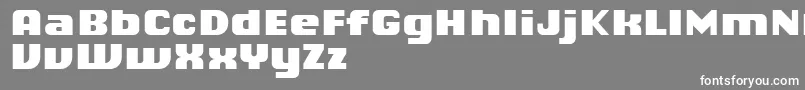 ChiqReducedBlack Font – White Fonts on Gray Background