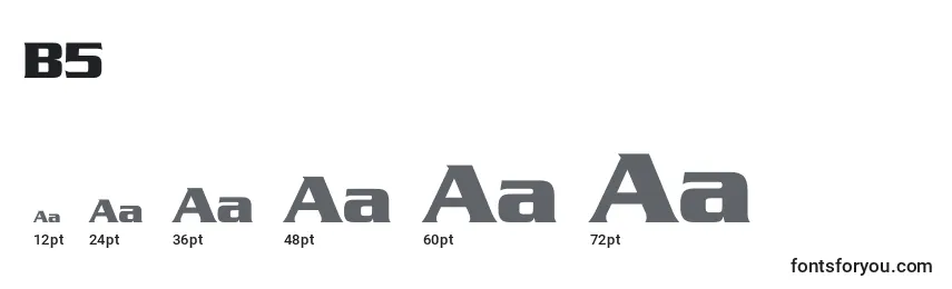 B5 Font Sizes