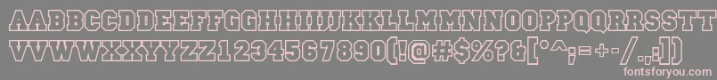 CampusotlBold Font – Pink Fonts on Gray Background