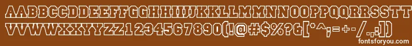 CampusotlBold Font – White Fonts on Brown Background