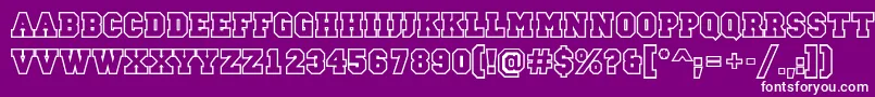 CampusotlBold Font – White Fonts on Purple Background