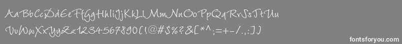 フォントWiesbadenswingltstdRoman – 灰色の背景に白い文字