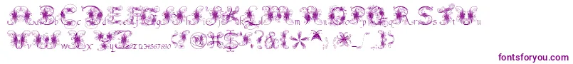 Police FantasticPete – polices violettes