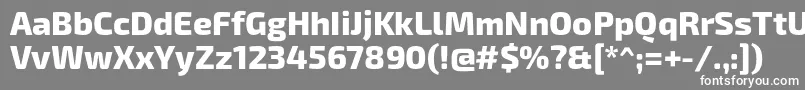 フォントExo2.0Extrabold – 灰色の背景に白い文字