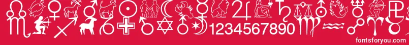 Czcionka Azlifesigns – białe czcionki na czerwonym tle