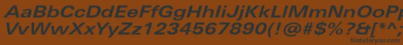 UniversNextProBoldExtendedItalic-Schriftart – Schwarze Schriften auf braunem Hintergrund