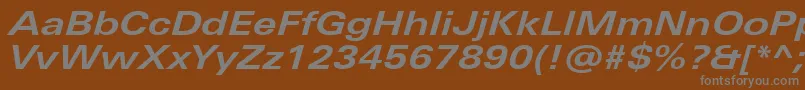 UniversNextProBoldExtendedItalic Font – Gray Fonts on Brown Background