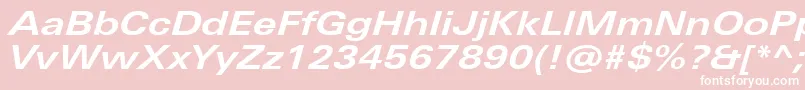 UniversNextProBoldExtendedItalic Font – White Fonts on Pink Background