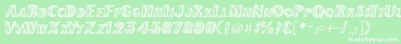 Newmexico Font – White Fonts on Green Background